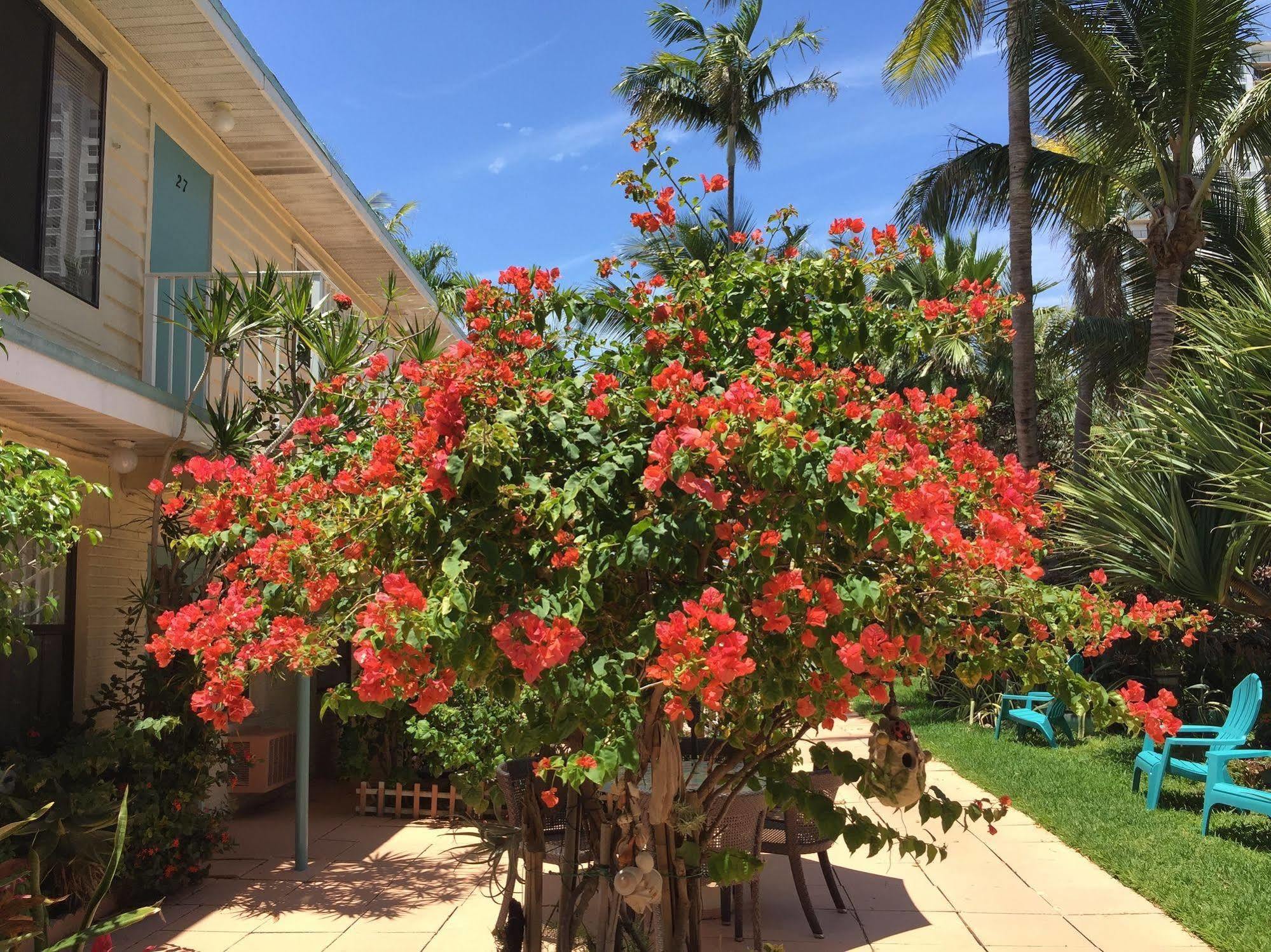 Sea Cove Motel Pompano Beach Εξωτερικό φωτογραφία